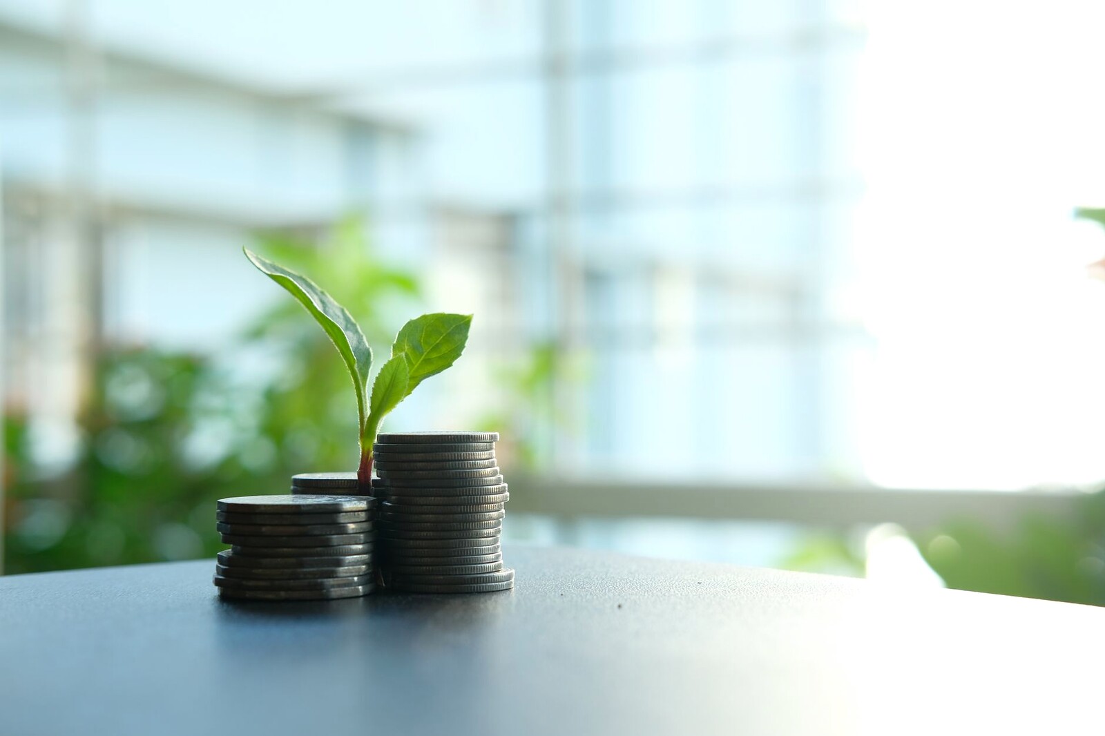Crescimento de investimentos